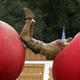 Illustration for article titled iWinter Wipeout/i